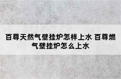 百尊天然气壁挂炉怎样上水 百尊燃气壁挂炉怎么上水